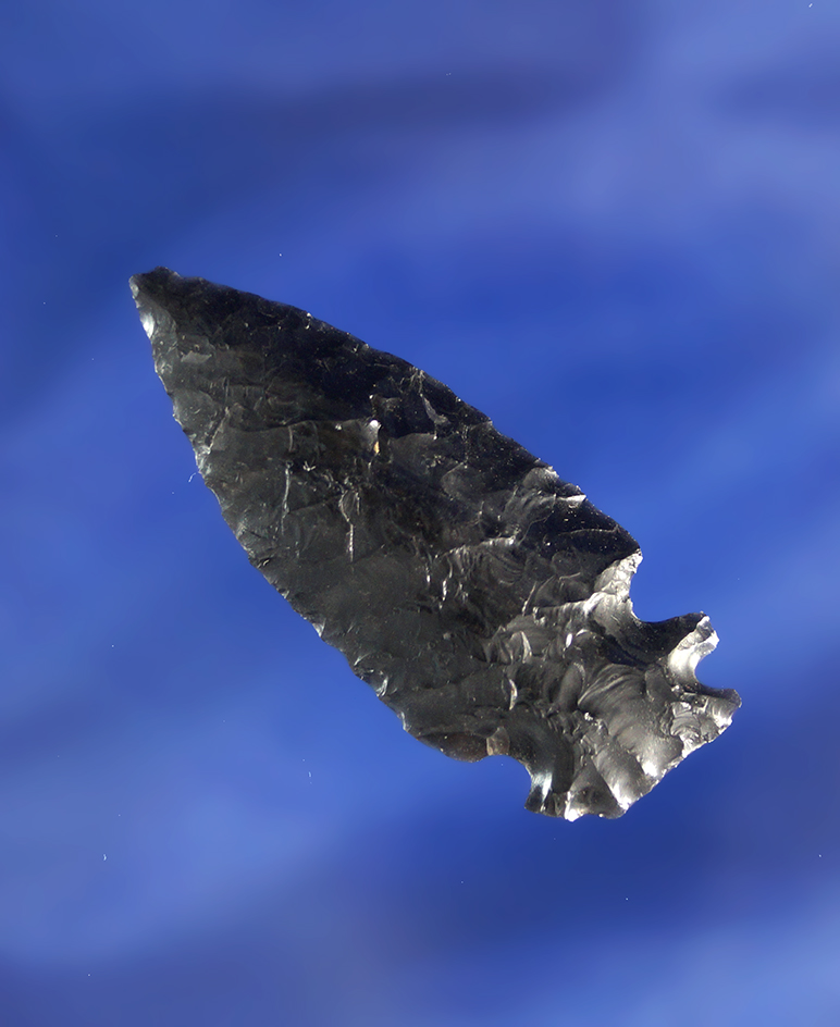 Unique! 1 15/16" obsidian double cornernotch found near Fort Rock Oregon.