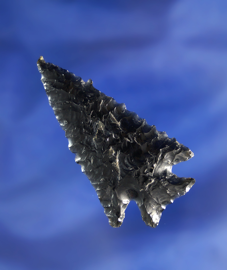 Thin and nice! 2 1/4" nicely serrated obsidian cornernotch - thin and well made. Fort Rock OR