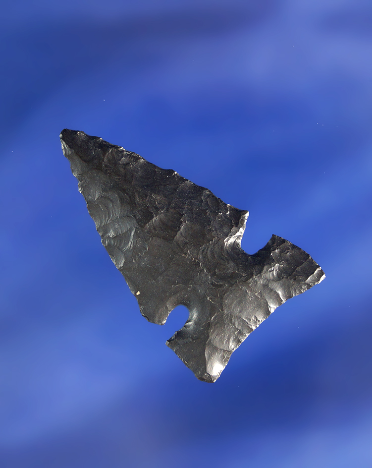 1 9/16" Northern Sidenotch that is nicely patinated found near Fort Rock Oregon.