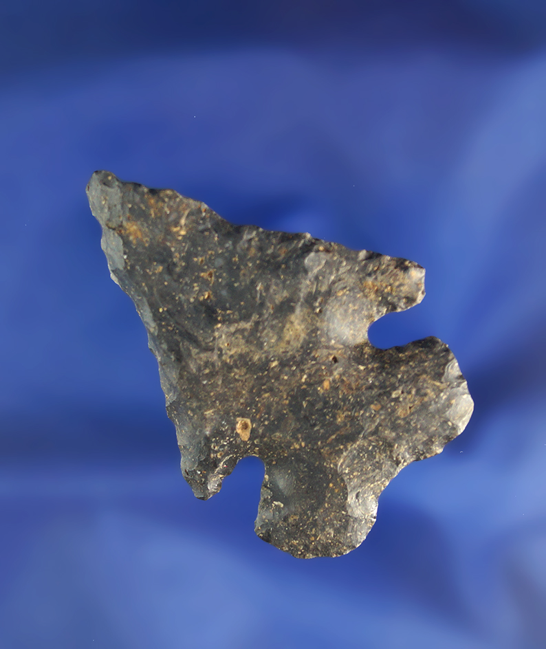 2 1/8" archaic Thebes Bevel found in Ohio.