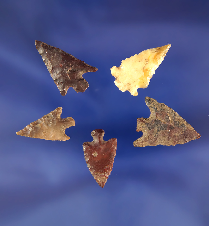 Set of five assorted arrowheads found near the Columbia River, largest is 15/16".