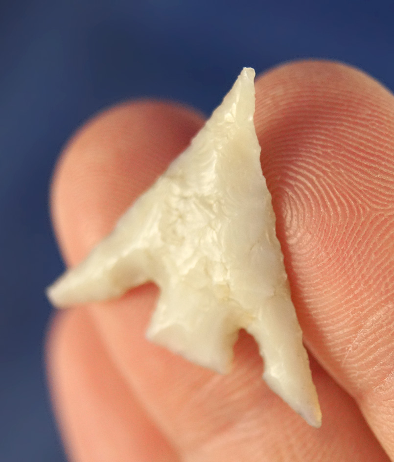 Beautiful long swept wings on this 13/16" by 7/8" wide Columbia Plateau - Chalcedony