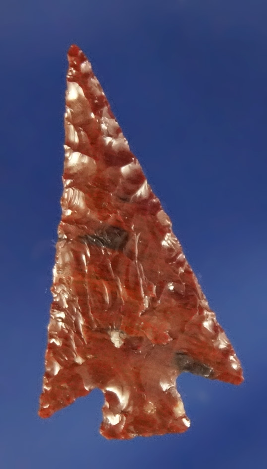 15/16" Columbia Plateau made from Mahogany Obsidian with perfect flaking