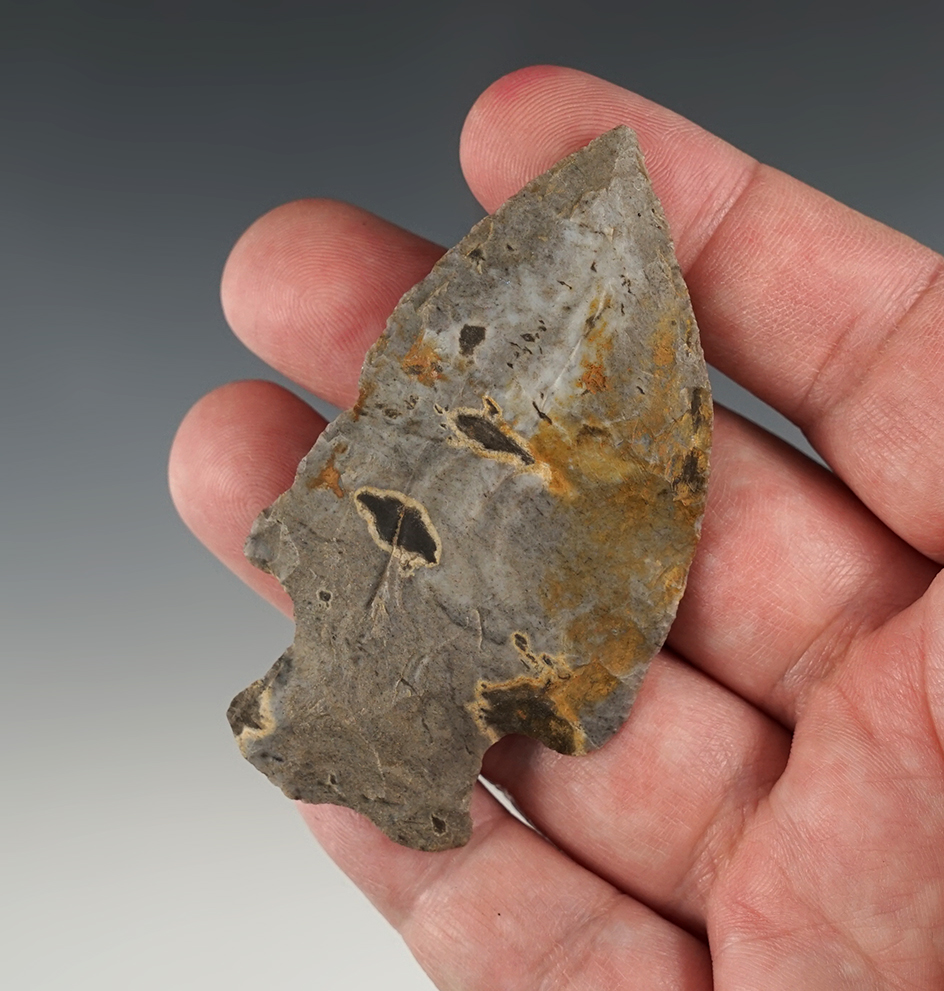 2 15/16" Hopewell made from a unique grade of flint. Found in Holmes Co., Ohio.