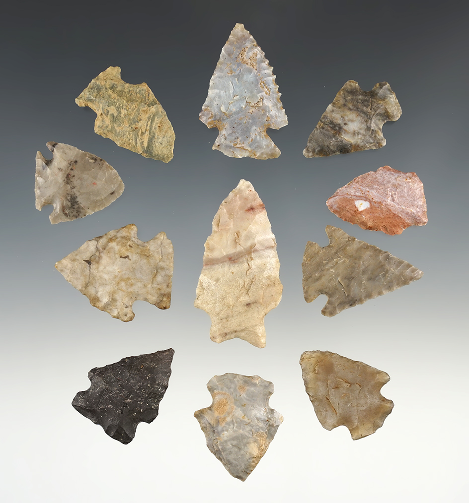 Set of 11 Birdpoints found in Delaware and Pickaway Co., Ohio. The largest is 1 15/16".