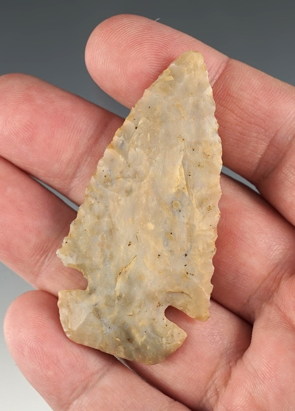 2 1/2" Ohio Dovetail that is well styled. One small shoulder ding but still displays well.