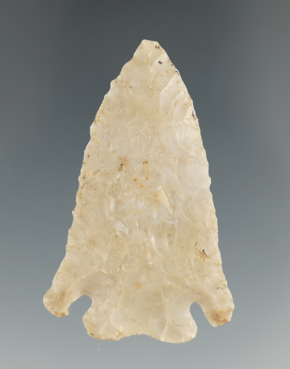 Very thin and beautifully styled 2" Pine Tree Point found in Mason Co., Kentucky, Faben Collection.