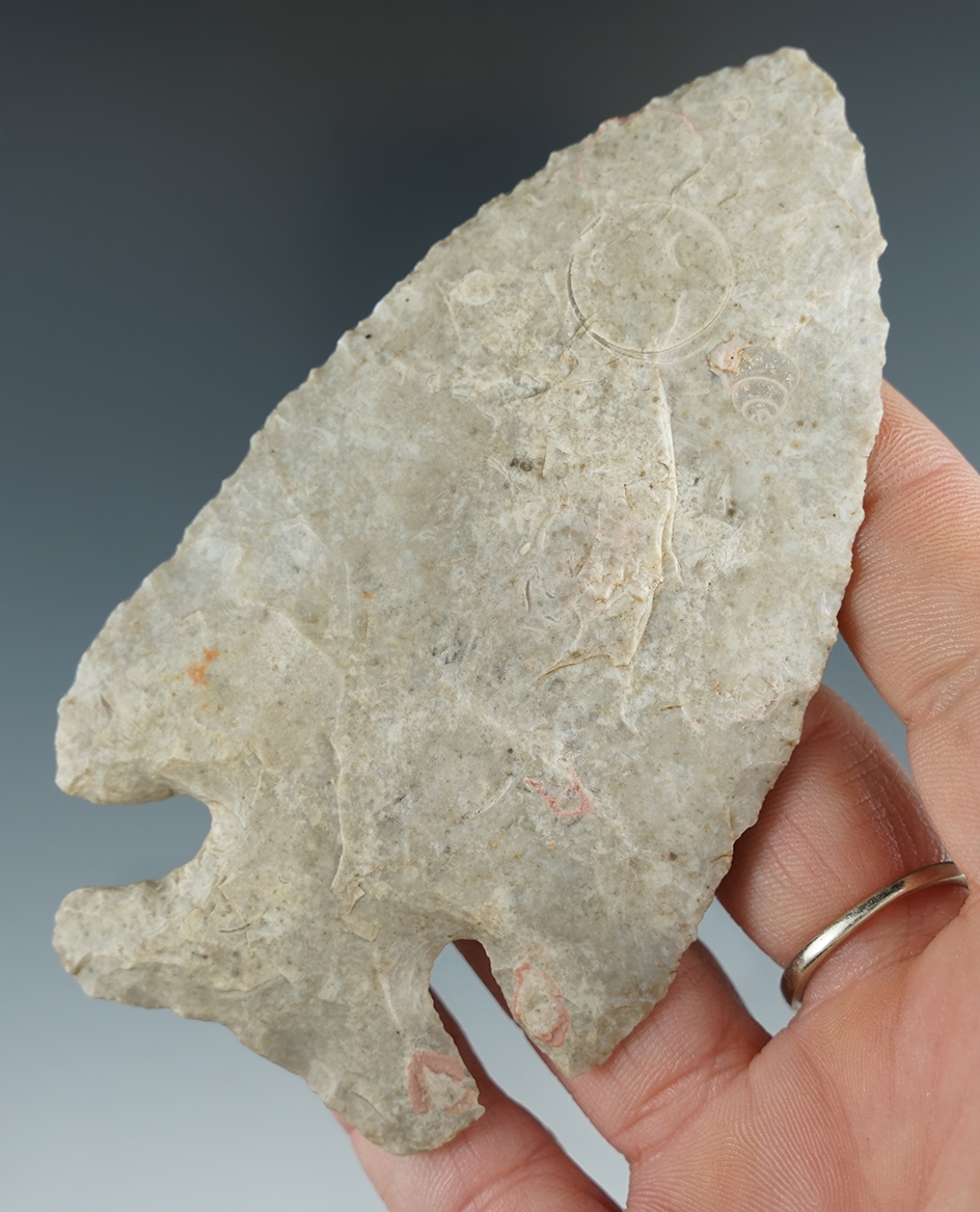 4" large and nice Thebes that is thin and very well flaked found in Fulton Co., Illinois. Ex. Beaver