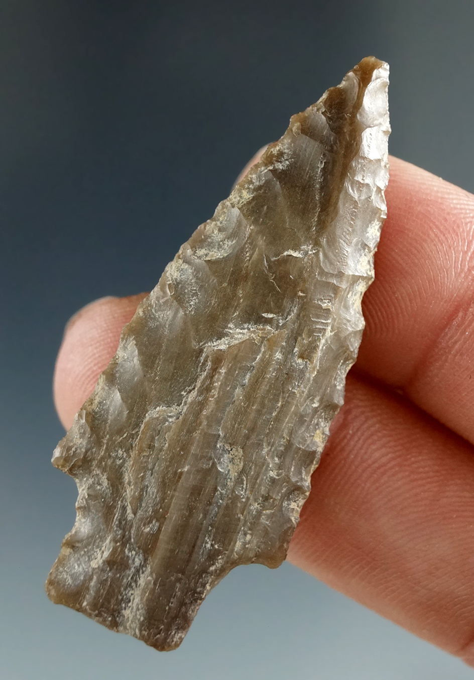 1 15/16" Square Stem Dart made from Grey Petrified Wood, found near the Columbia River.