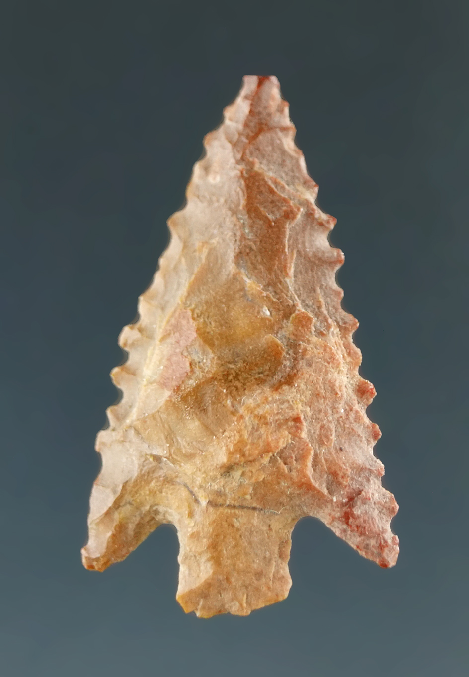 1" Columbia Plateau, highly serrated, made from Yellow Jasper, found near the Columbia River.