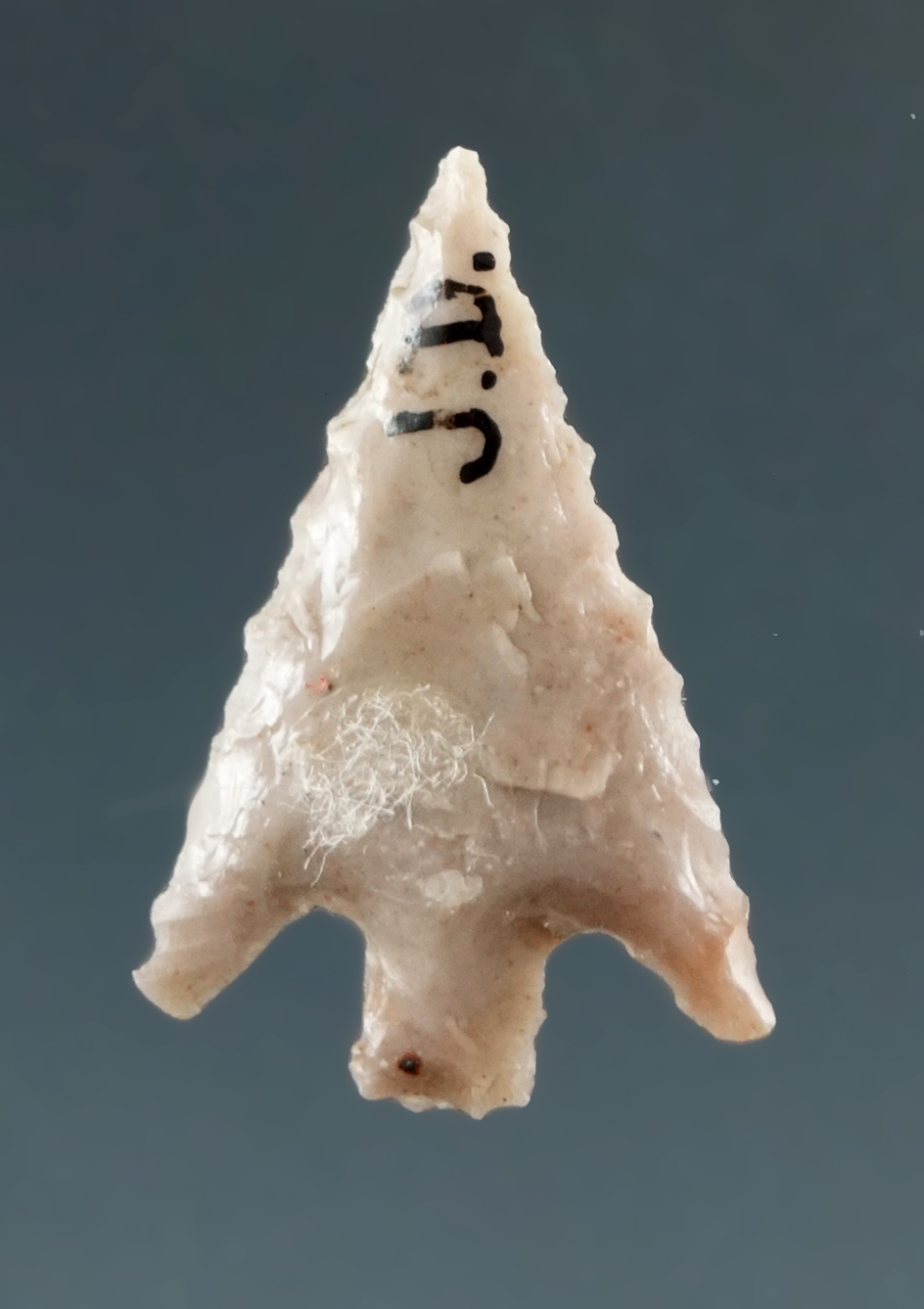 3/4" Columbia Plateau made from Tan Agate, found near the Columbia River.