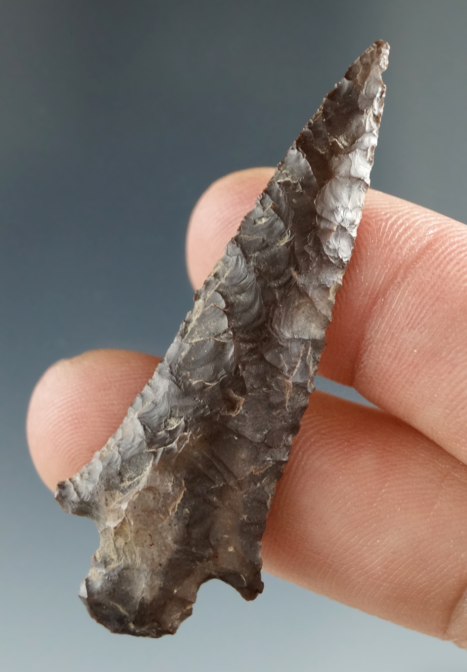 2 1/8" Wallula Winged, made from Brown Agate, found near the Columbia River.
