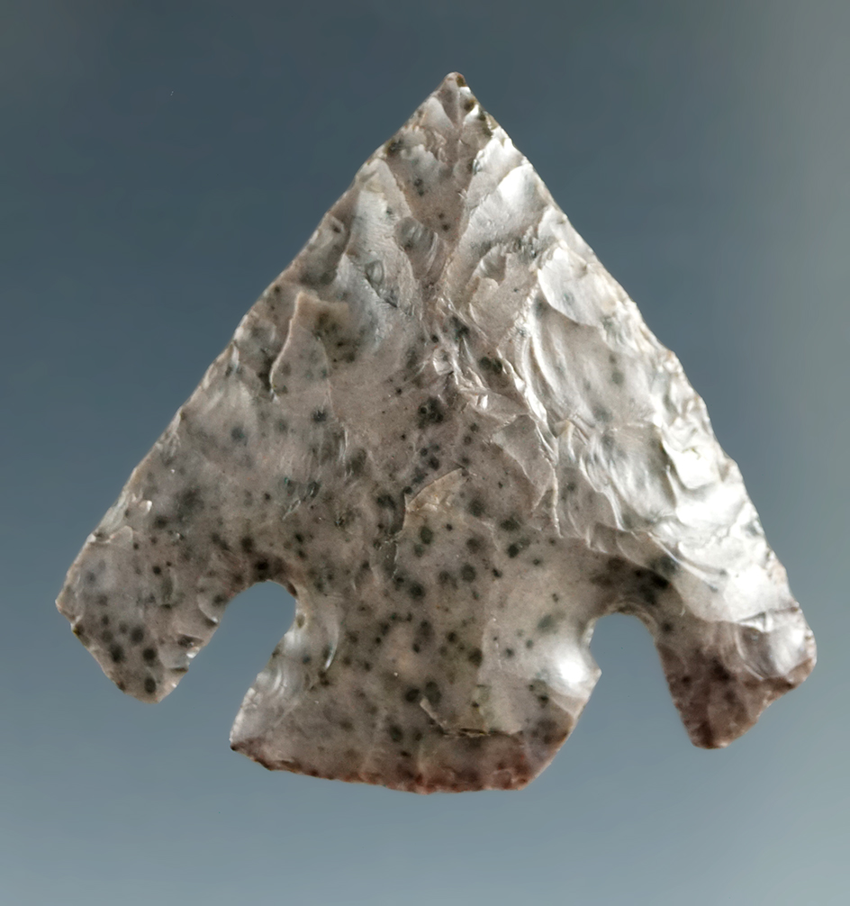 1 1/8" Deep Notch Point made from grey Jasper with Black spots, found near the Columbia River.