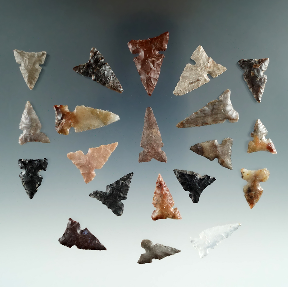 Group of 20 Sidenotch Points, longest is 1", found near the Columbia River.