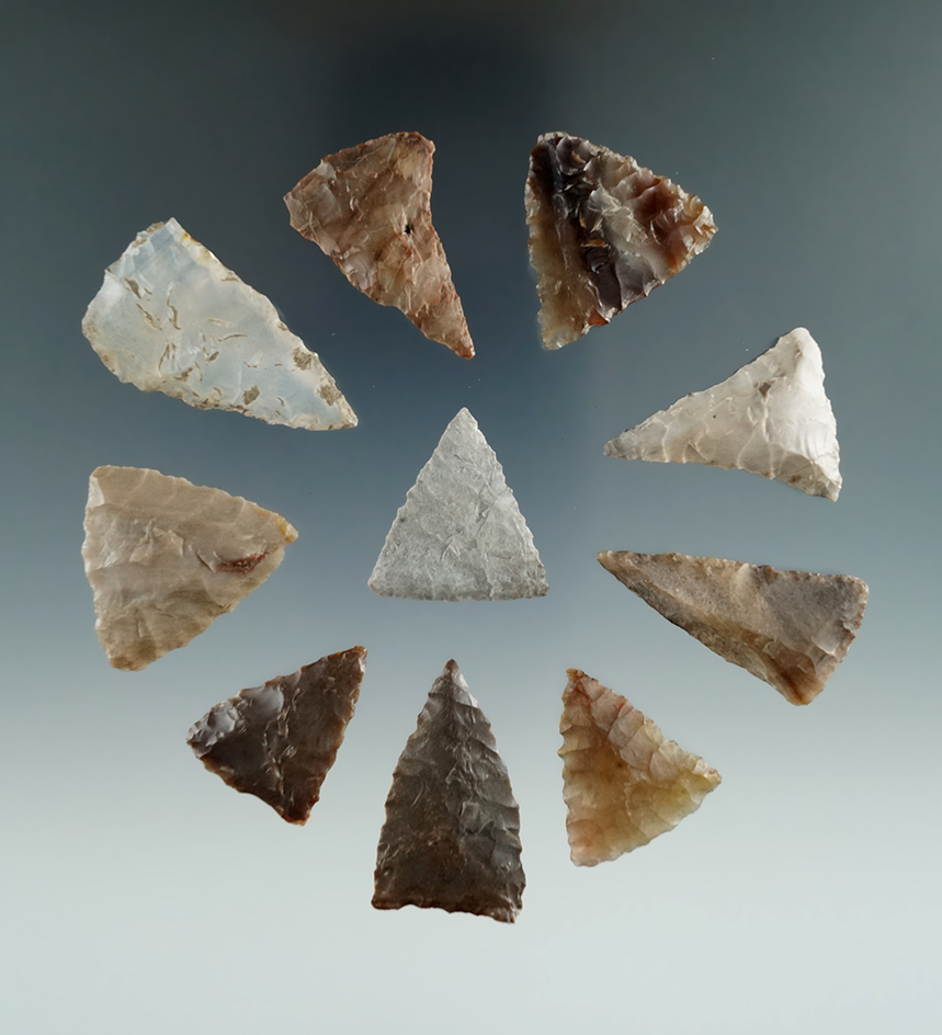 Group of ten Triangle Points, longest is 1 3/8", found near the Columbia River.