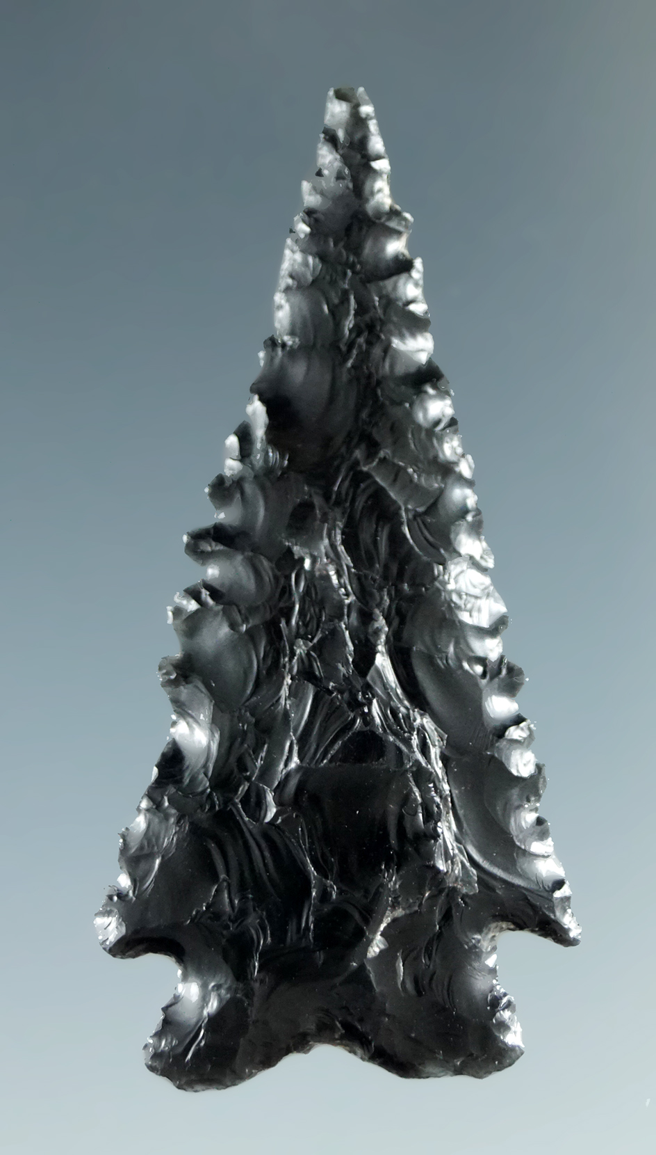 1 9/16" Serrated Elko made from Obsidian, found in the Great Basin, Oregon.