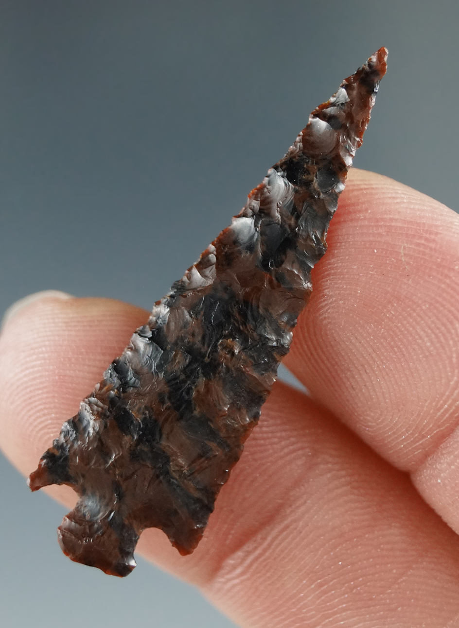 1 1/2" Rose Spring made from Mahogany Obsidian, found in the Great Basin, Oregon.