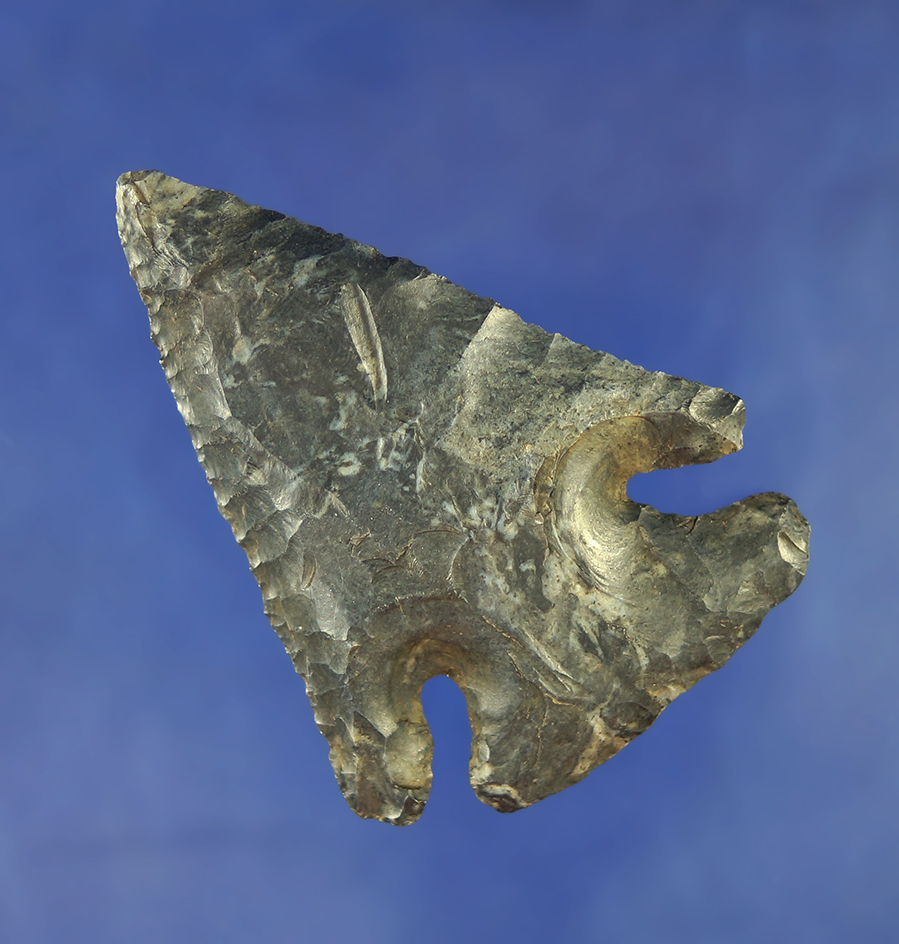 2 3/4" Archaic Thebes beveled made from Coshocton Flint found in Coshocton Co.,  Ohio.
