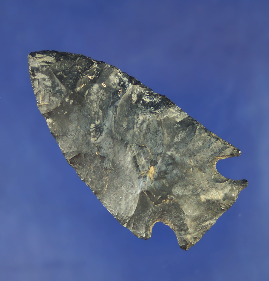 Large for type! 2 9/16" Coshocton Flint Intrusive Mound point found in Ohio in excellent condition.