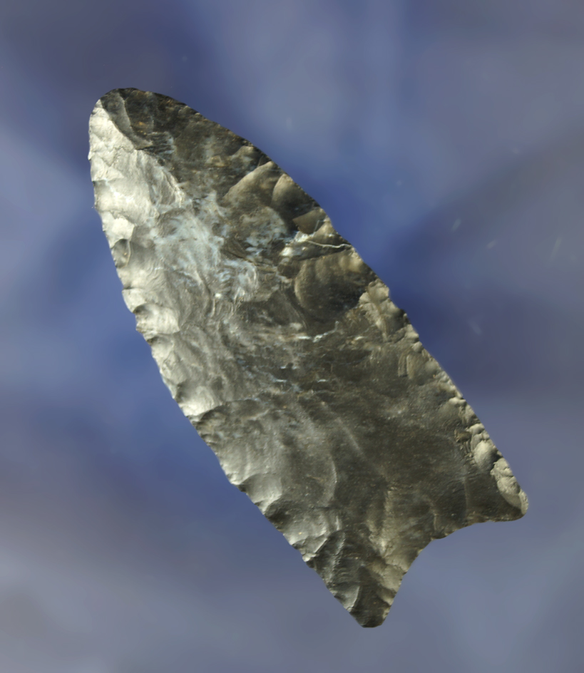 2 3/4" Paleo Clovis found in Medina Co., Ohio, made from Coshocton Flint. Bennett COA.