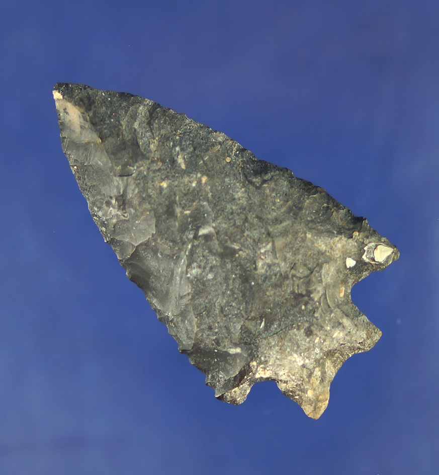 2 3/8" Transitional Paleo made from Coshocton Flint found in Ohio.