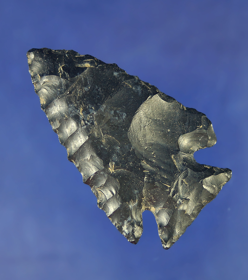 2 1/2" Archaic Bevel made from Coshocton Flint found in Ohio.