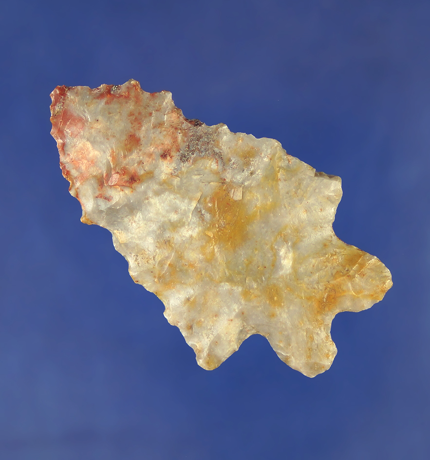 2 5/16" heavily serrated and very thin McCorkle Bifurcate made from rare plum run Flint.