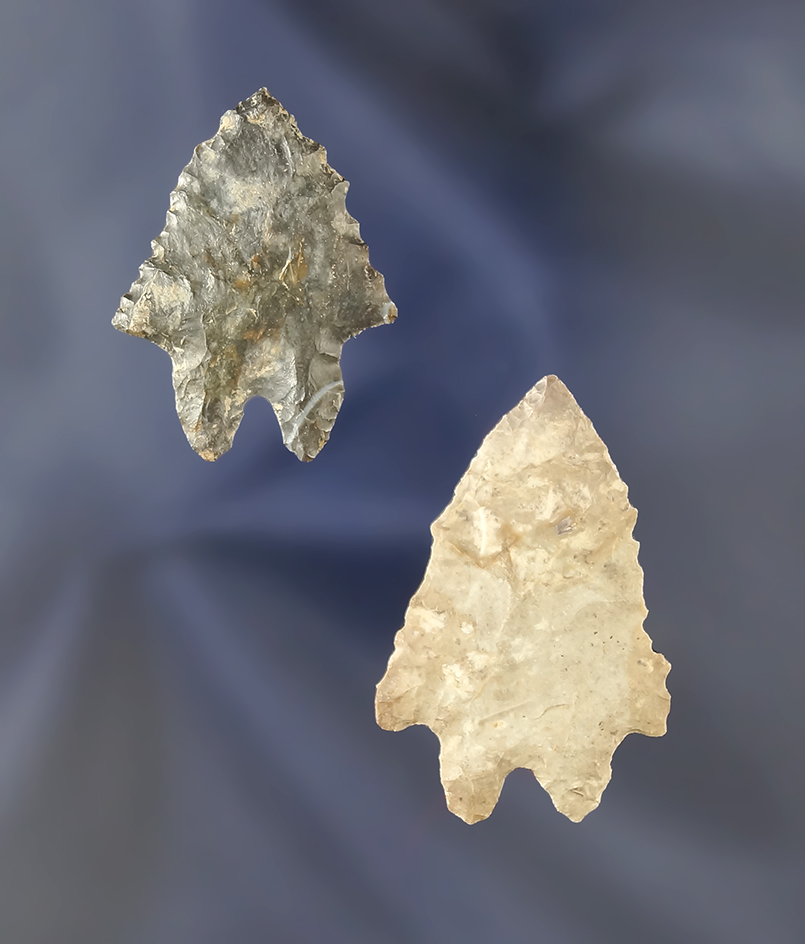 Pair of Lake Erie Bifurcates found in Erie Co., Ohio. Largest is 1 9/16".