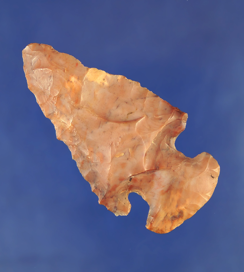 2 3/8" beautiful pink Flint Ridge Flint Archaic Bevel found in Walhonding, Ohio.
