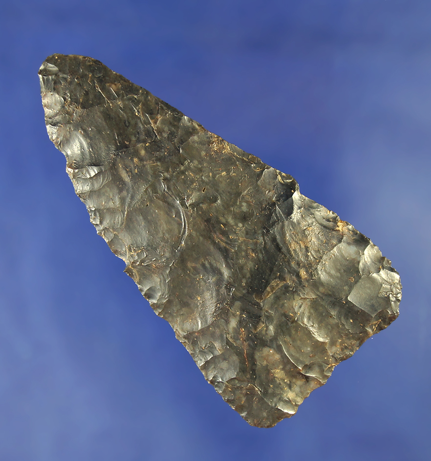 3 1/4" Coshocton Flint Archaic Blade beveled on one side. Found in Ohio.