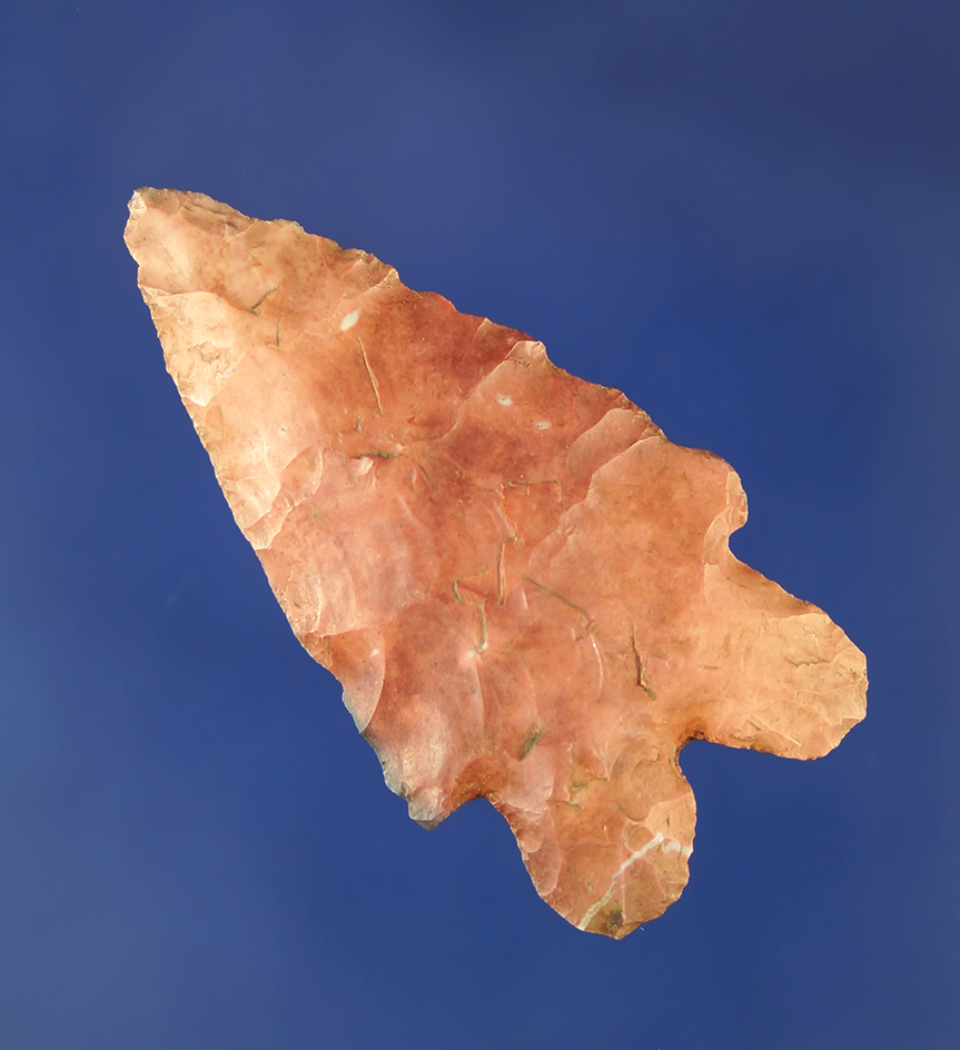 Ex. Hothem! 2" Bifurcate found in Coshocton Co., Ohio. Ex. S. Farrow, Lar Hothem Collections.