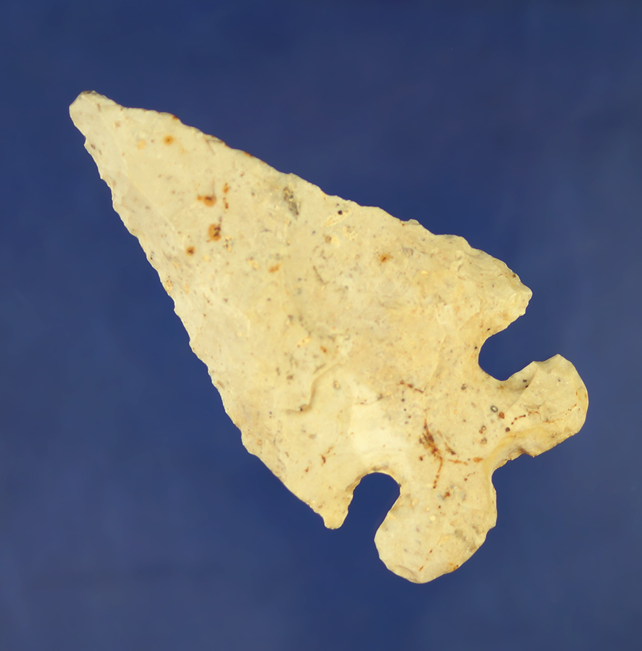 3 1/16" Archaic Bevel found by Greg Shipley on their family farm in Champaign Co.,  Ohio in 1983.