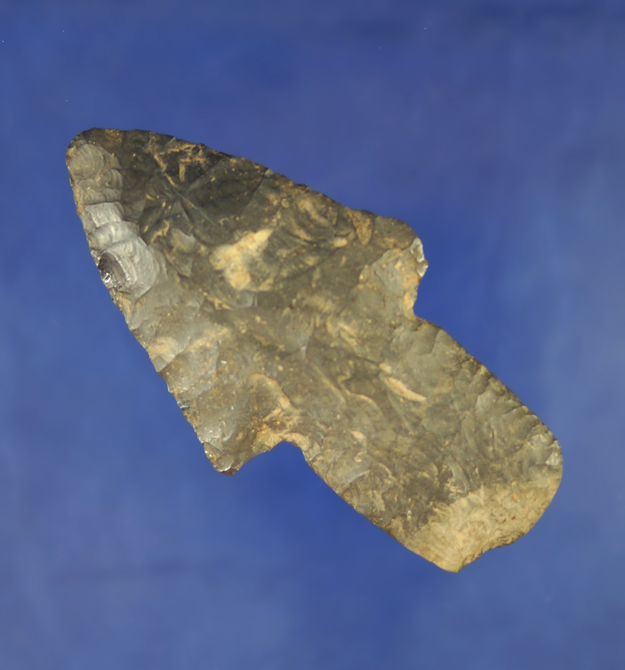 Nice! Heavily patinated 3 1/4" Adena Spearfound in Lawrence Co.,  Ohio. Ex. Lester Tolliver, Hooks.