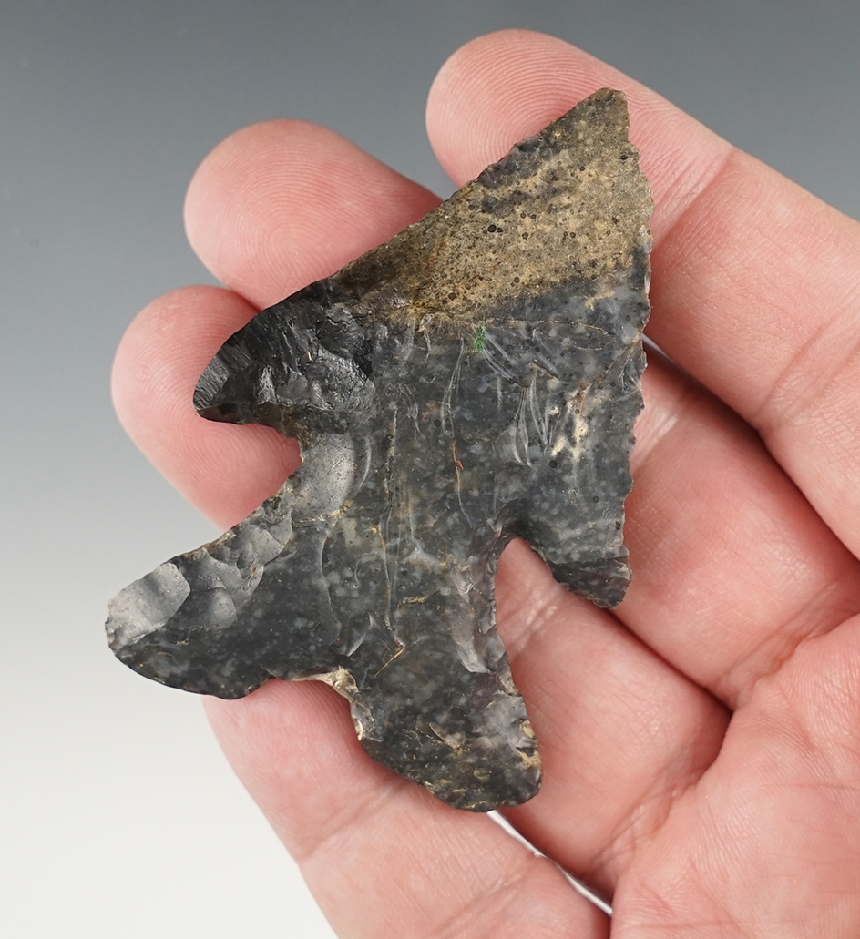 Uniquely styled 2 3/4" Ohio Thebes point. One shoulder has been restored.