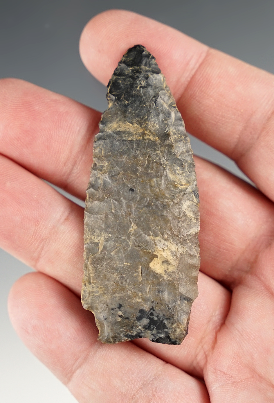 Very nice 2 11/16" Transitional Paleo found in Ohio.