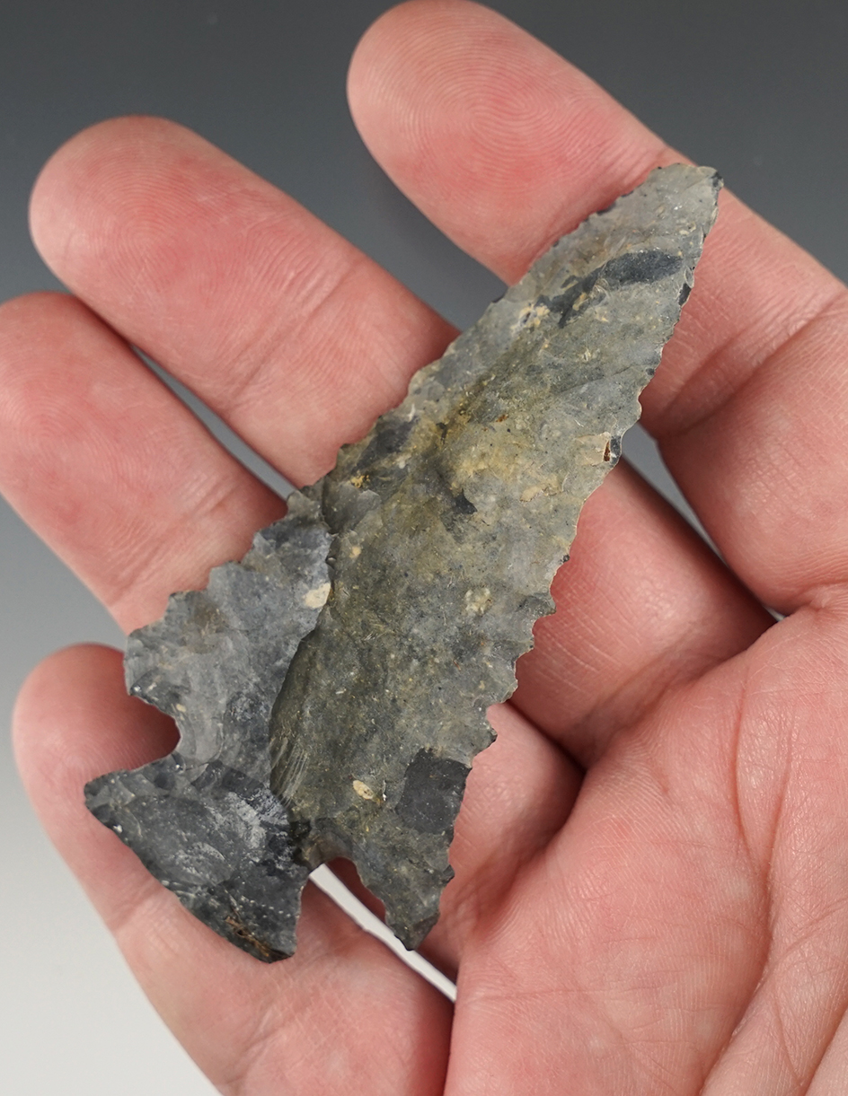 3 1/4" Archaic Bevel with nice serrations. A few box dings but still a displayable relic.