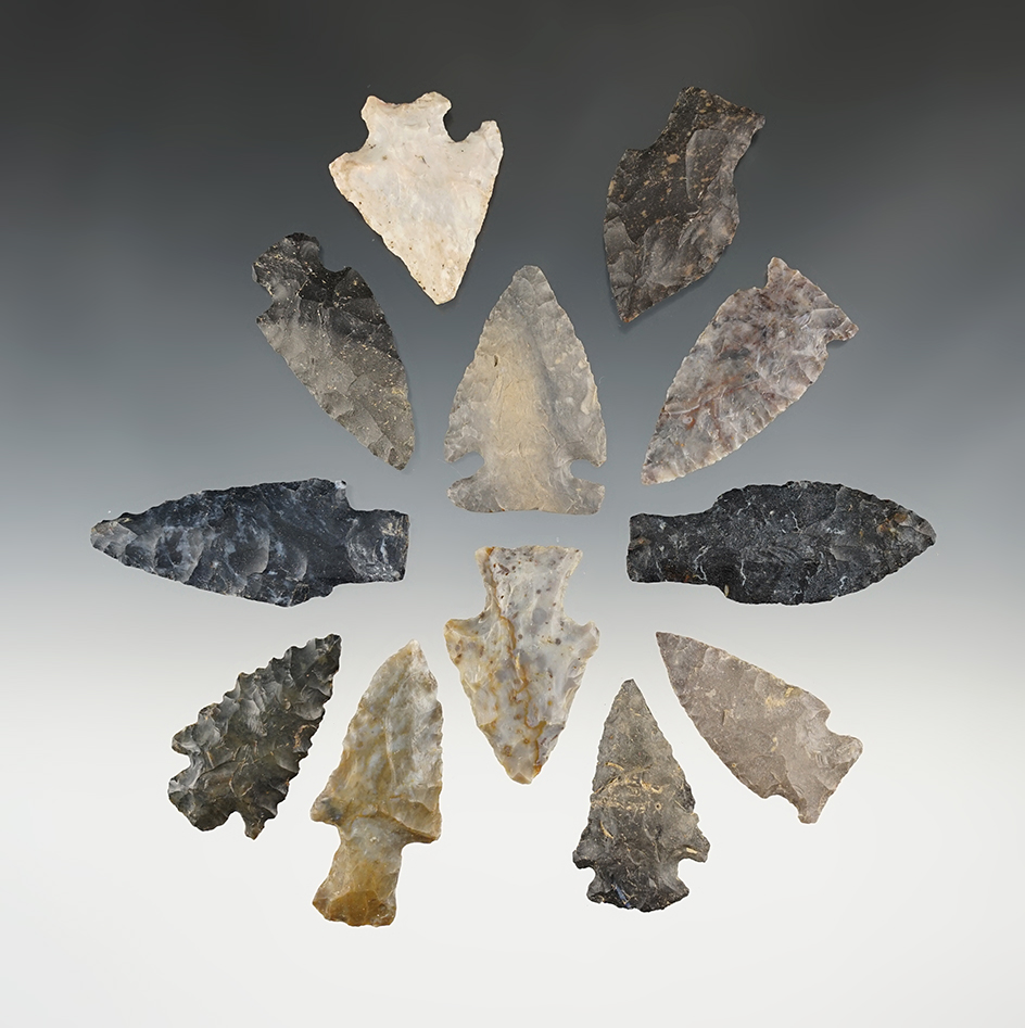 Set of 12 assorted Coshocton points found in Ohio. The largest is 2 7/16".