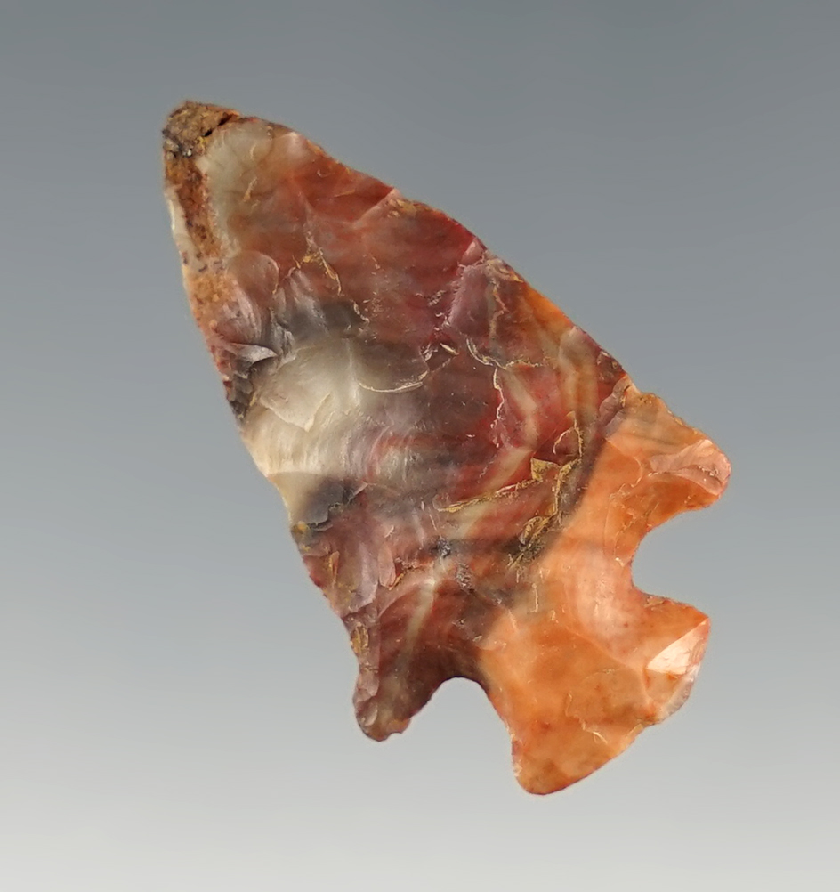 1 5/16" Beautiful Nethers orange and red Woodland Point with great color. Found in Ohio.