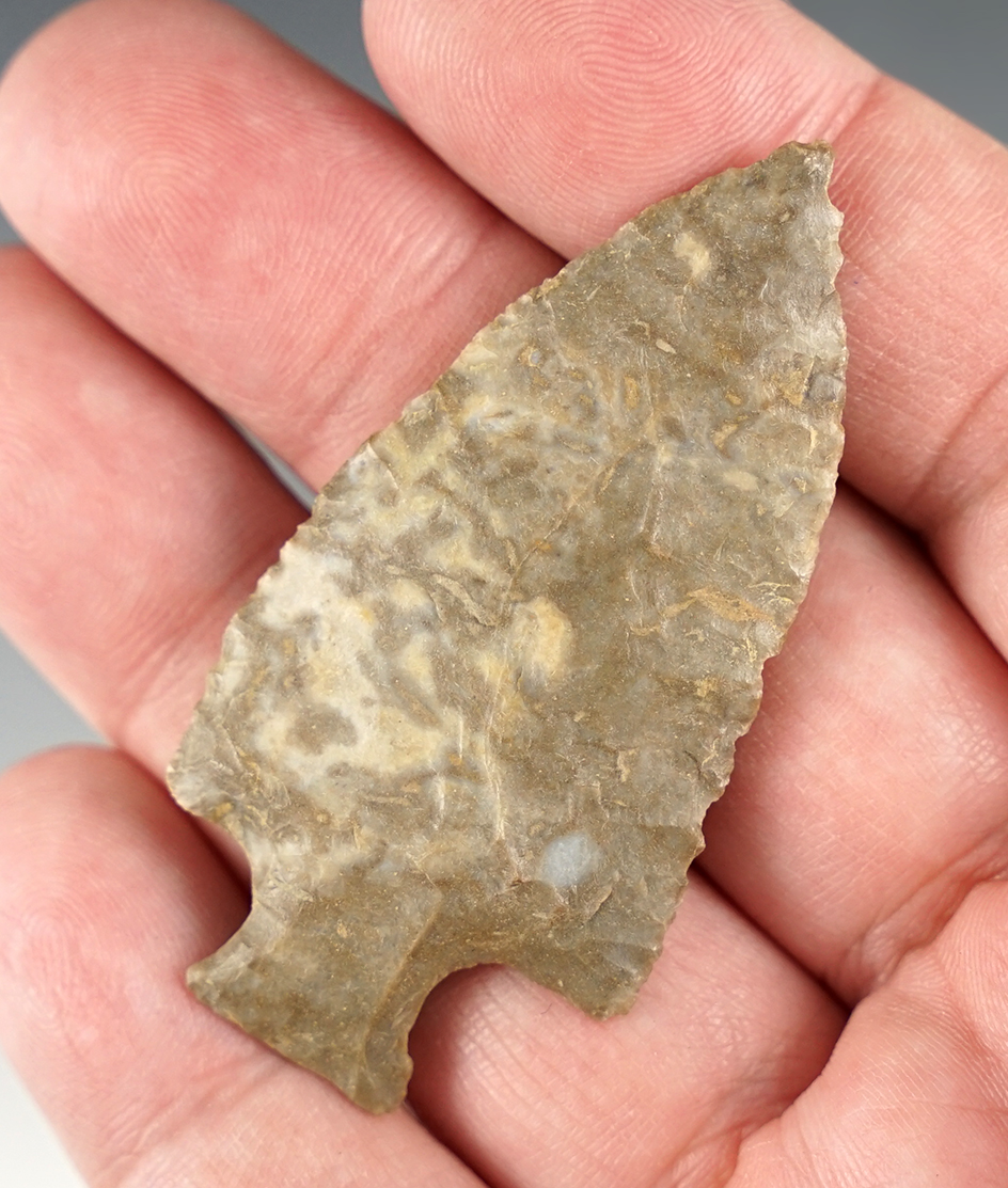 Fine 2 3/8" Motley made from Fort Payne chert.