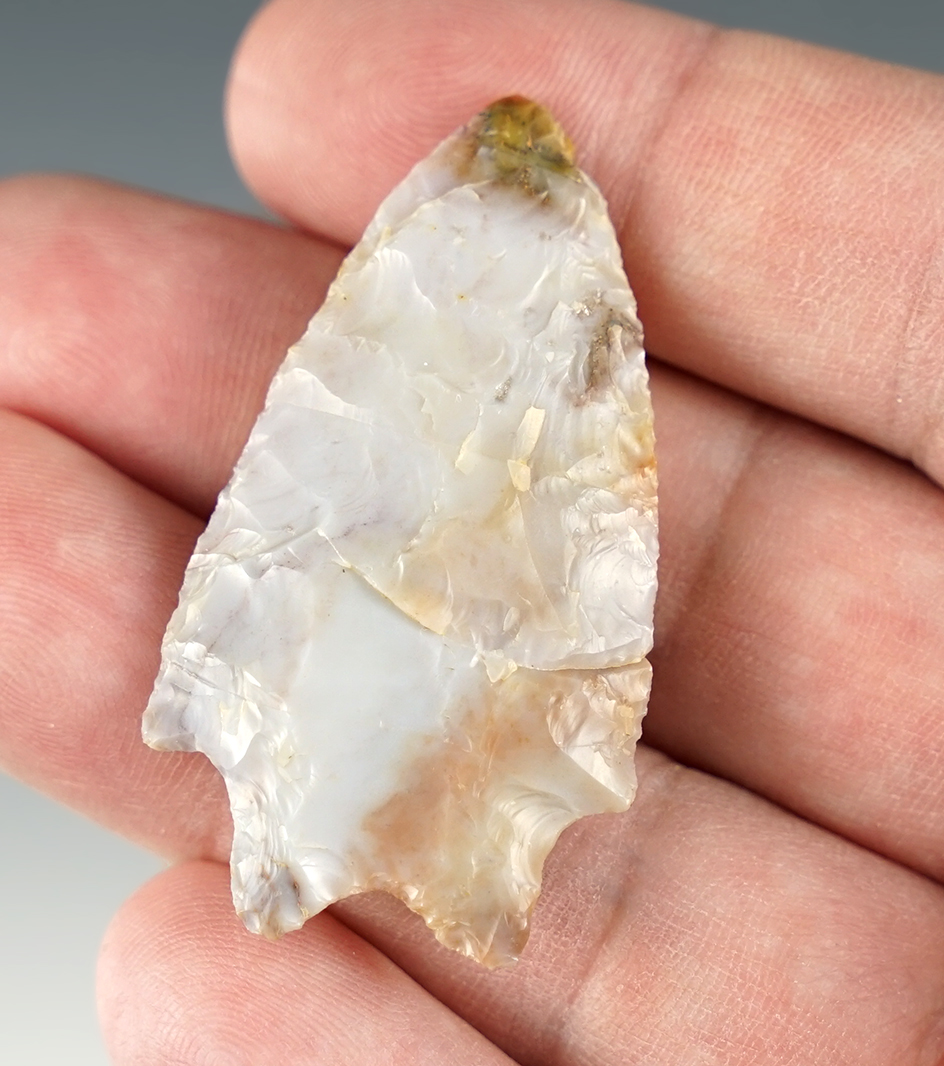 Killer color on this 1 15/16" Bifurcated Kirk found in Ohio. Made from Gem-Grade Flint Ridge.