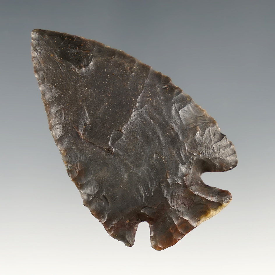 2 7/16" Wonderfully flaked Archaic Corner Notch with heavy ancient grinding to the base.