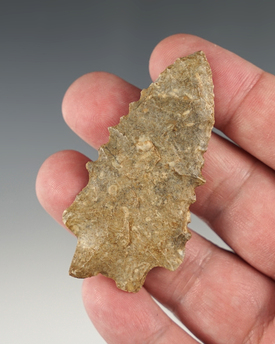 2 9/16" Kirk with killer serrations. Ex. Harvey Glenn. Pictured in "Who's Who" #11, page 35.