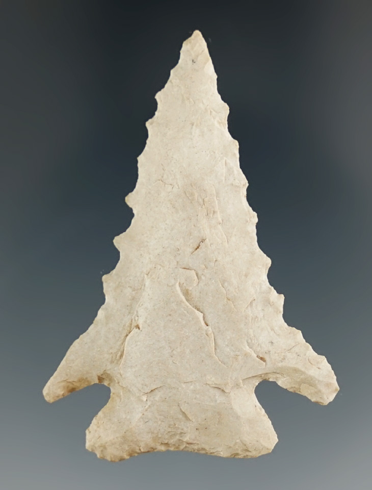 2 1/8" Serrated Pine Tree Point found in Fentress Co., Tennessee. Ex. Henry English Collection.