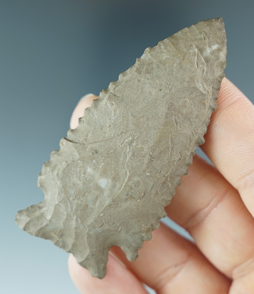 Excellent serrations on this 2 13/16" Dover Flint Stilwell found in Tennessee.