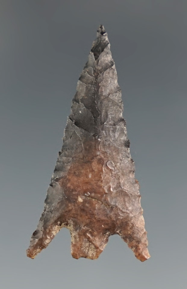 1 5/16" Columbia Plateau found by Norma Berg near the Columbia River, Washington. Bennett COA.