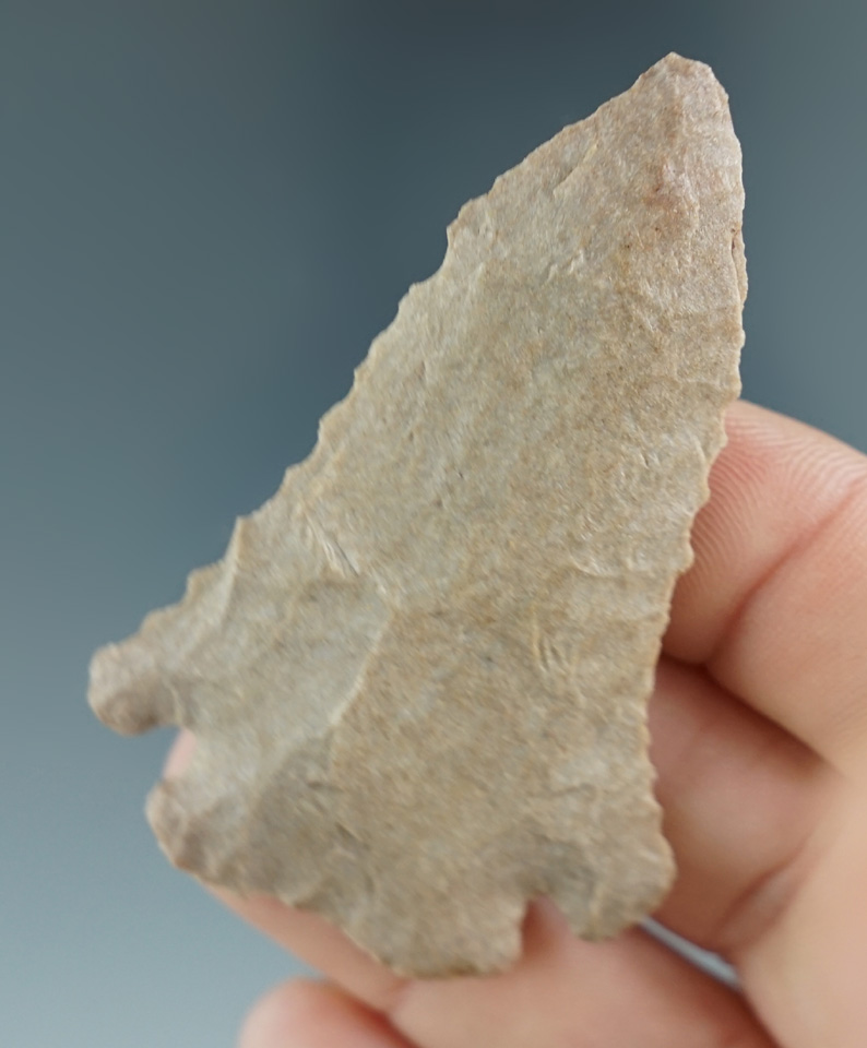 2 3/8" Pine Tree Point found in Fayette Co., Kentucky. Ex. Henry English Collection.