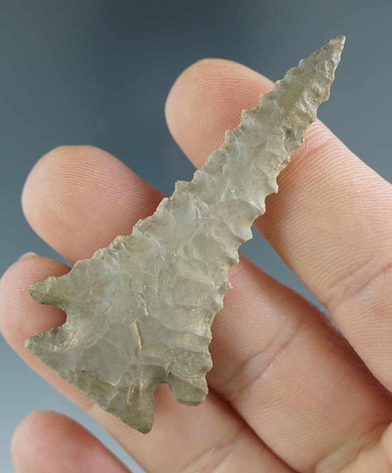 2 3/8" Pine Tree Point with minor restoration to one basal corner and one ear. Found in Kentucky.