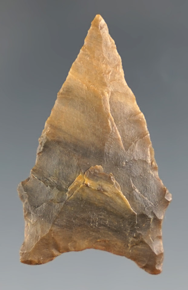 Well styled 1 9/16" San Patrice "Hope" found in Angelina Co., Texas. Comes with a Rogers COA.