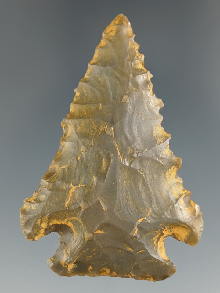 2 1/16" nicely serrated Pine Tree found in Lincoln Co., Kentucky. Ex. Henry English Collection.