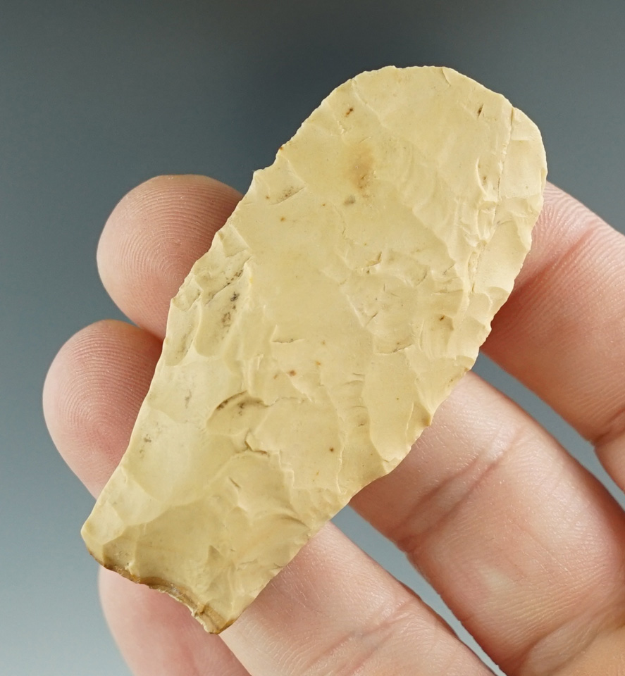 2 3/16" Hell Gap found in Burleson Co., Texas. Tip shows ancient resharpening. Rogers COA.